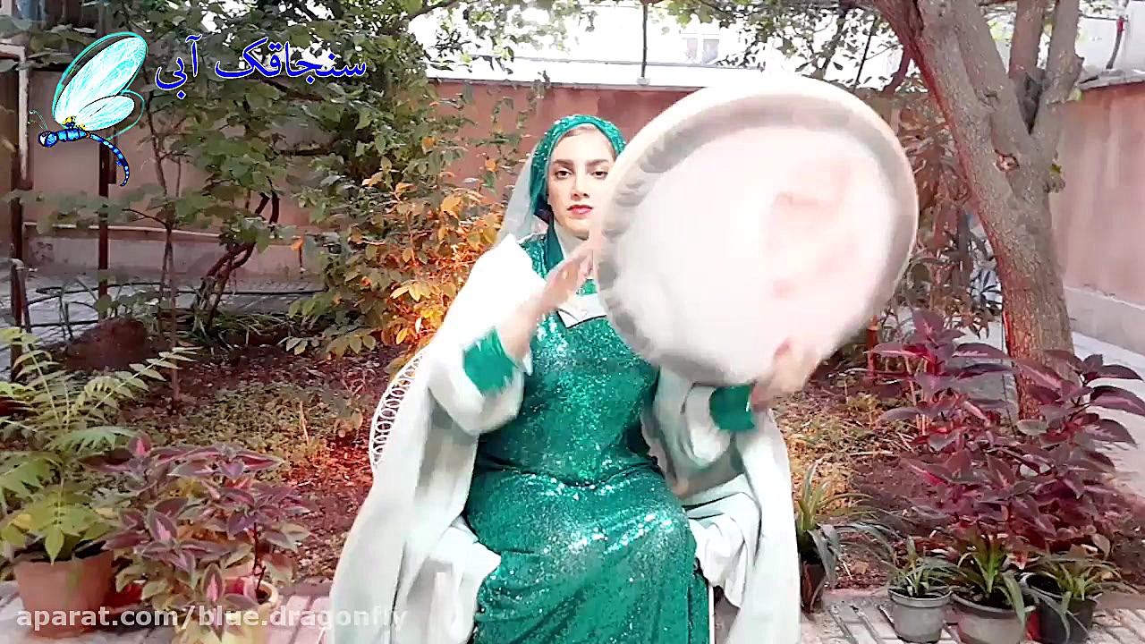 دف نوازی آهنگ امام رضا محسن چا...