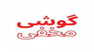 گوشی خودتان را به دو گوشی تبدی...