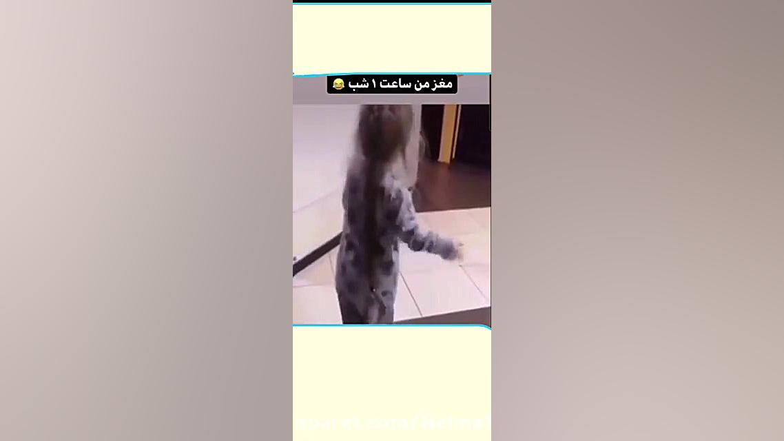 کلیپ خنده دار مغز من ساعت۱شب