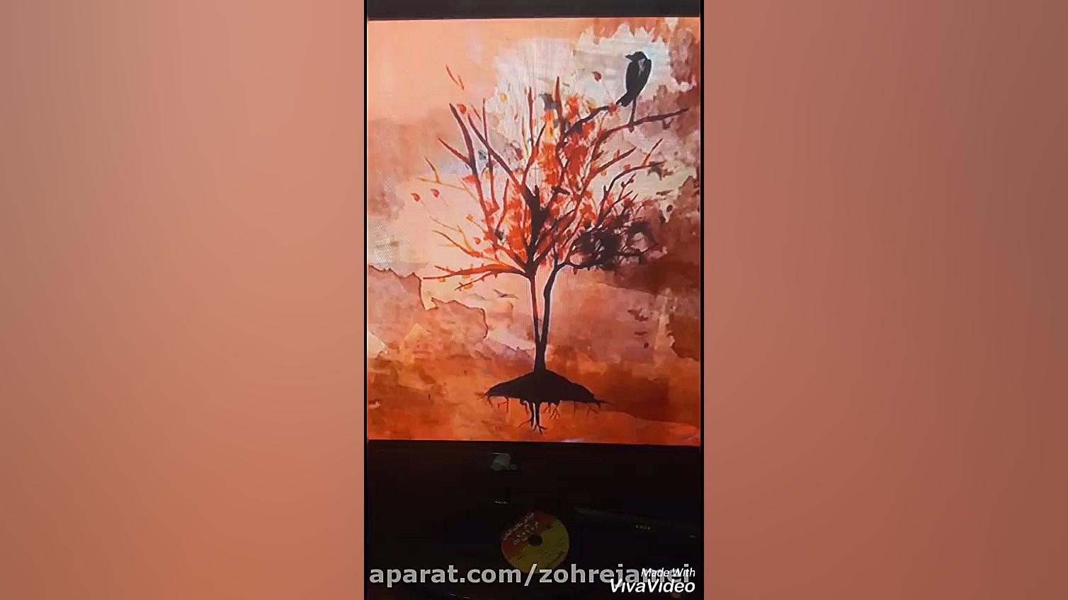 کلاغ سیاه حرم امام رضا ع محسن...