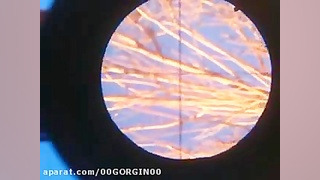 شکار با تفنگ بادی (کرال سفری م...