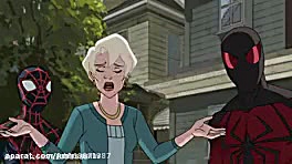 مردعنکبوتی