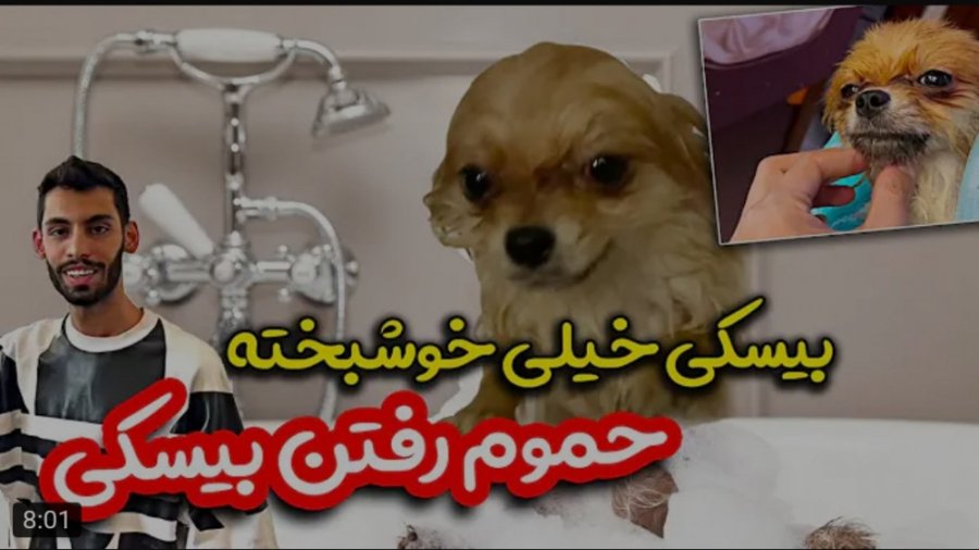 ولاگ | پویان ان آر | بیسکی رو...