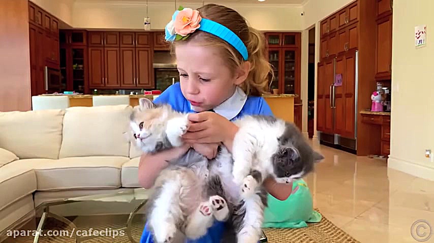 ناستیا و استیسی  ناستیا  ناستی...