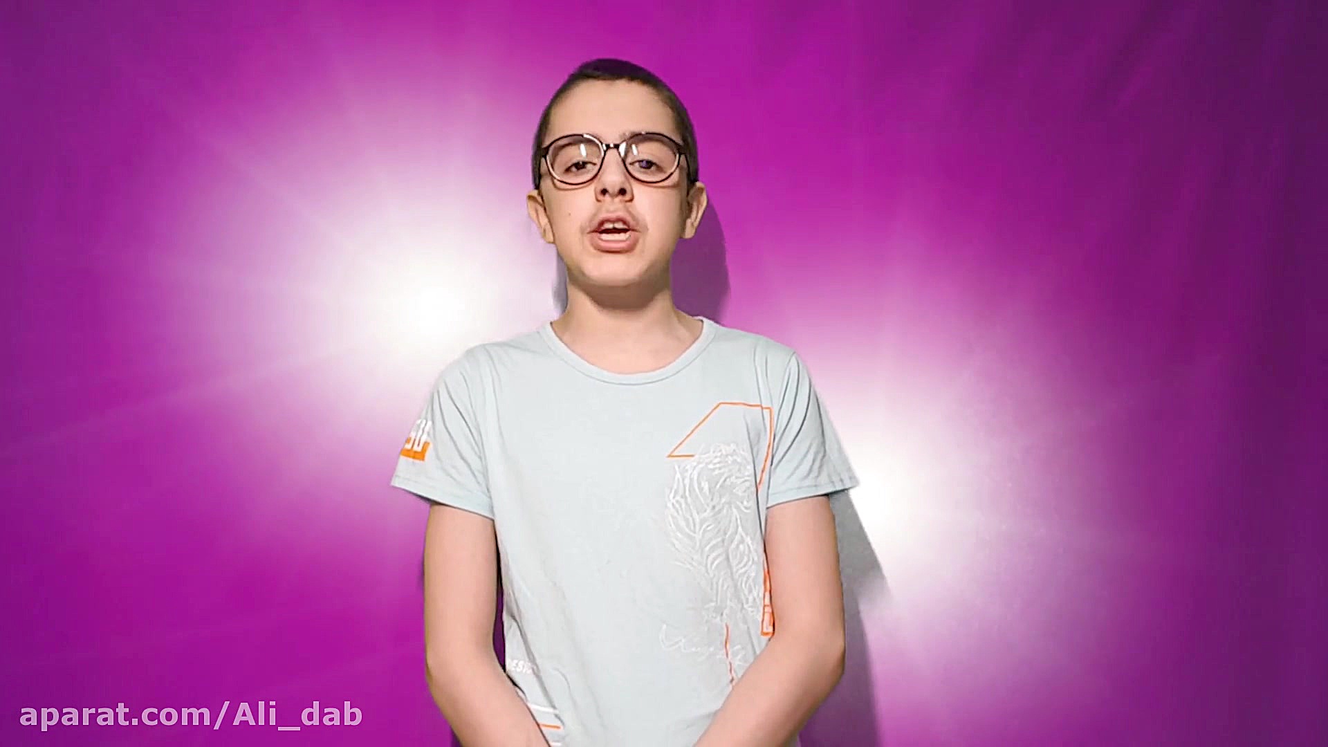 سیب زمینی سرخ کرده