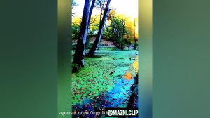 کلیپ بسیار زیبا و دلنشین به هم...