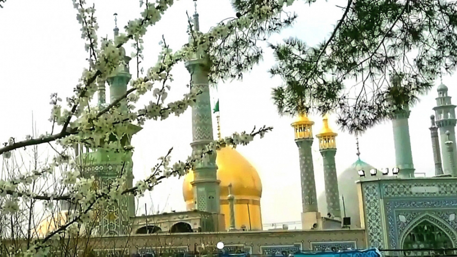 کلیپ تبریک آغاز امامت امام زما...