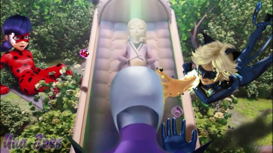 شکست لیدی باگ و کت نوار توسط ه...