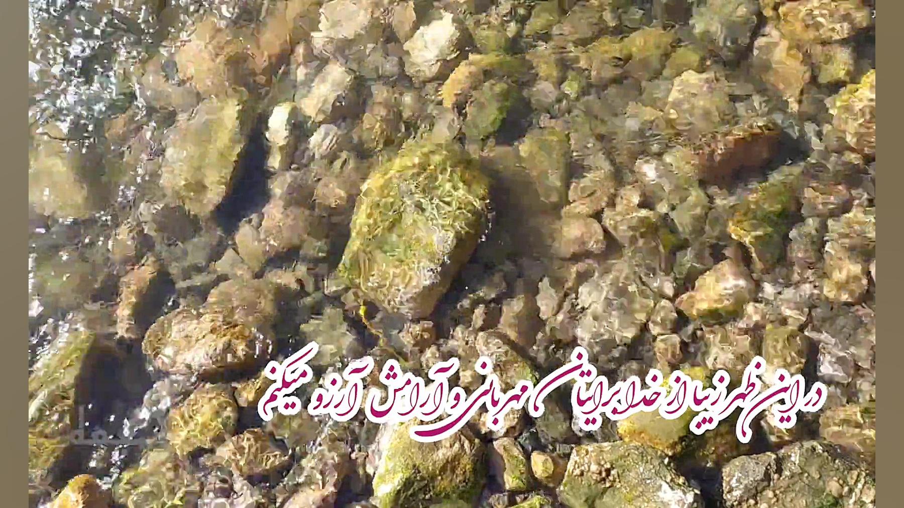 صبح بخیر انگیزشی ،ظهر ،کلیپ زی...