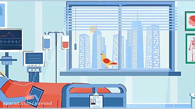 محبت مجازی، احترام نمایشی