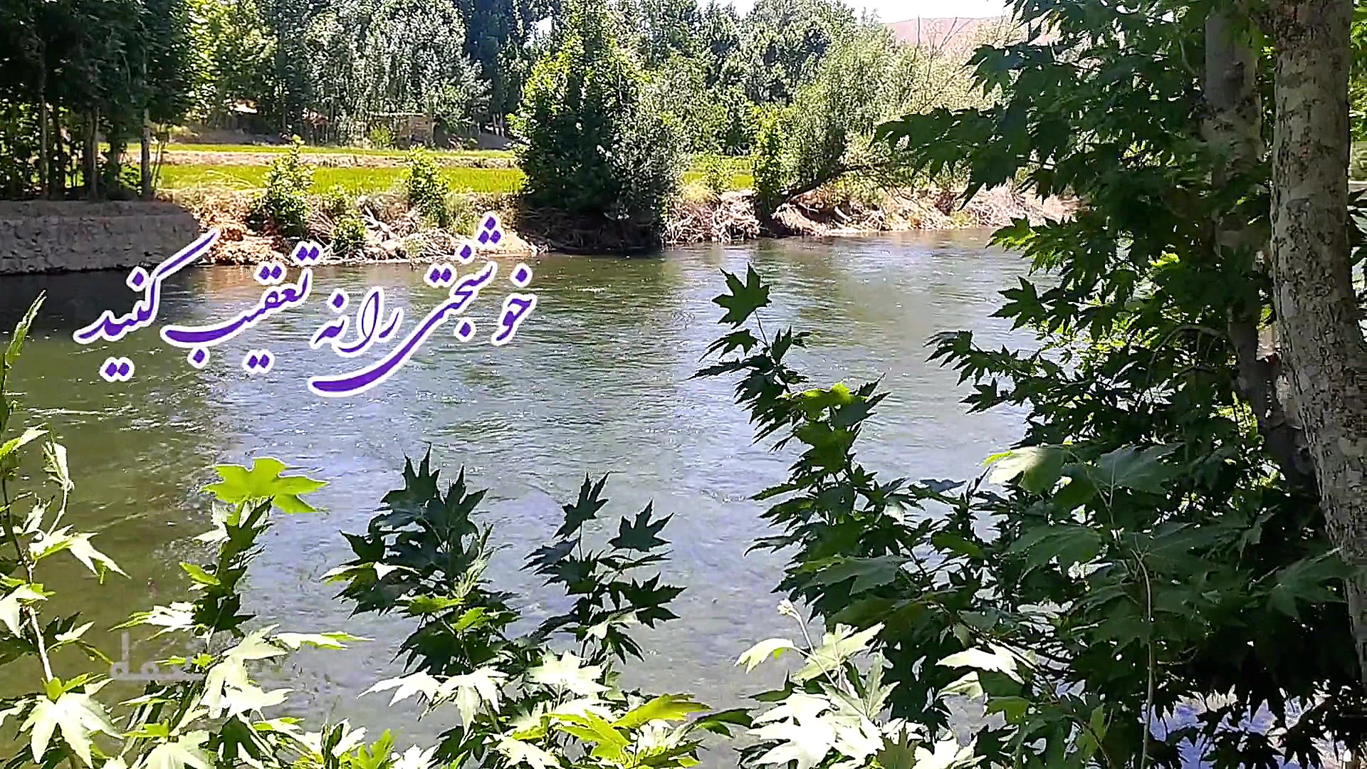 صبح بخیر انگیزشی ،وضعیت واتس آ...