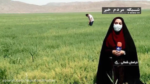 کشت ۱۰ برابر در خشکسالی