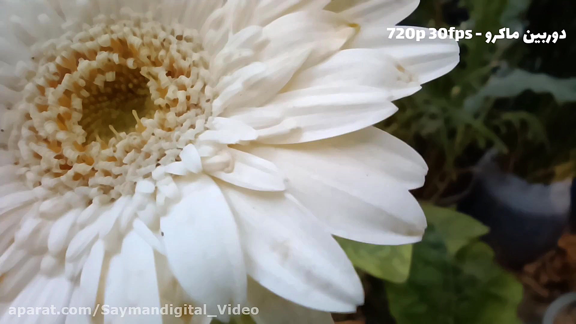 نمونه ویدیوهای دوربین گوشی ردم...