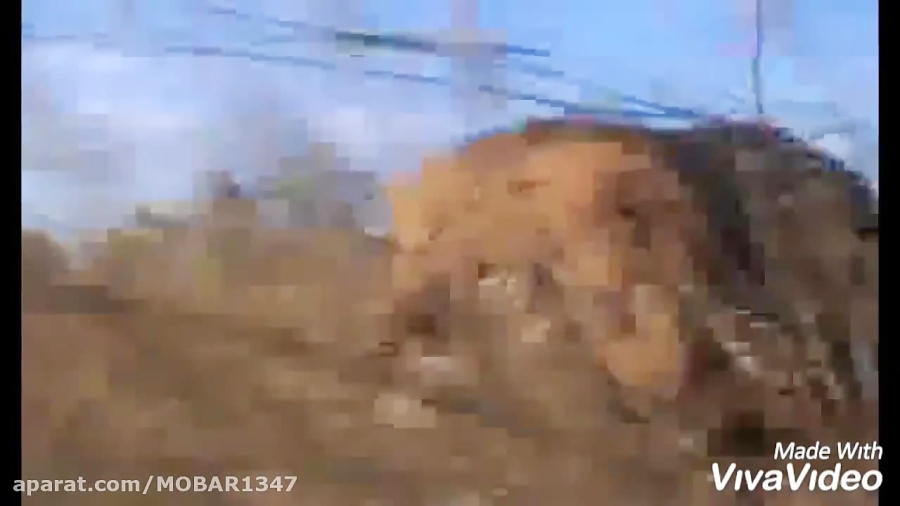 ورزش در پارک