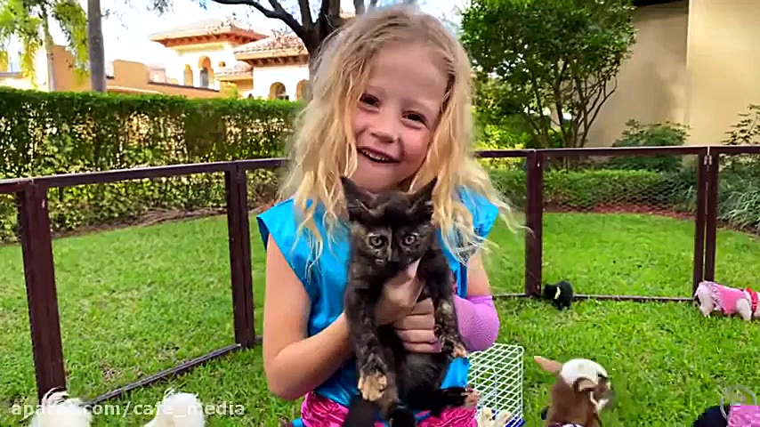 ناستیاشو  ناستیا استیسی  ناستی...