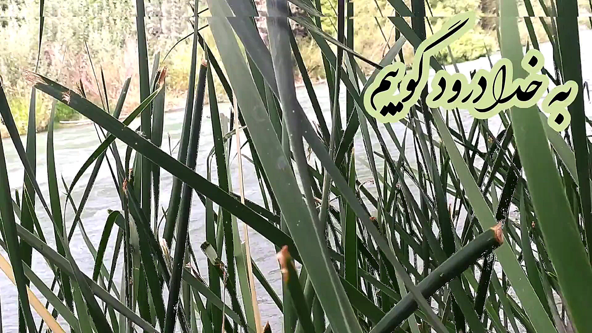 صبح بخیر انگیزشی ،خدا،وضعیت وا...