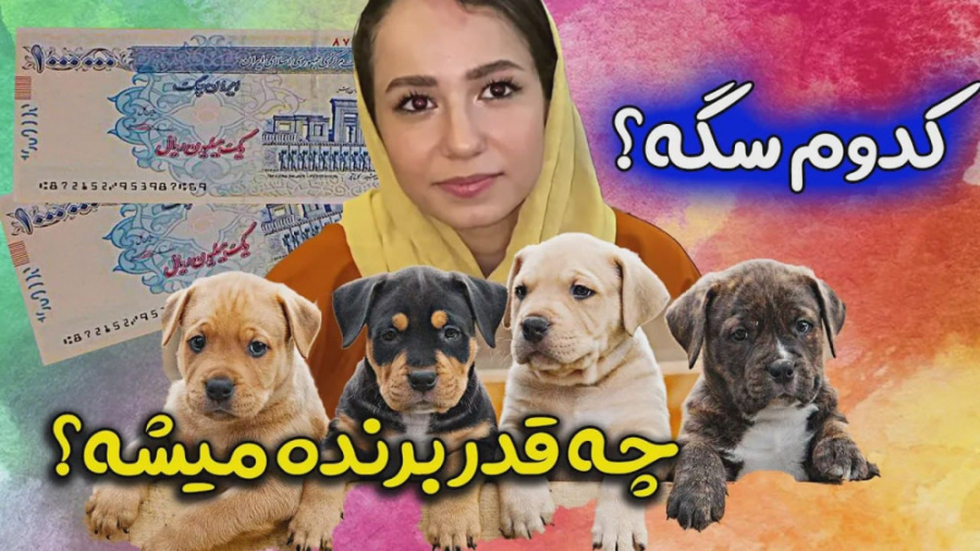 سگ نر و ماده رو چجوری میشه تشخ...