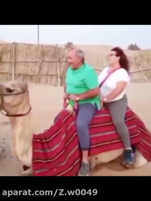 شتر مرد بابا
