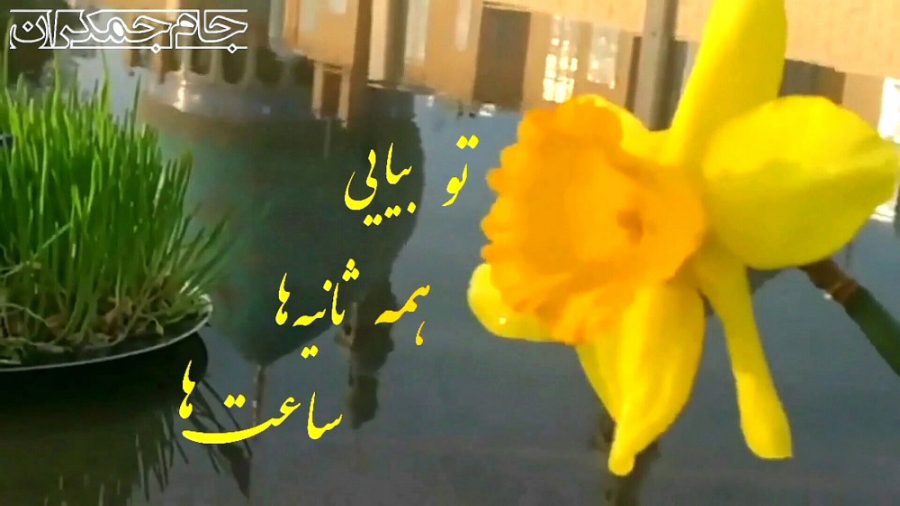 کلیپ عاشقانه امام زمان عج