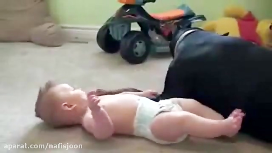 قلقلک دادن کودک توسط سگ