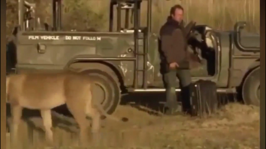 دوبله خنده دار راز بقا