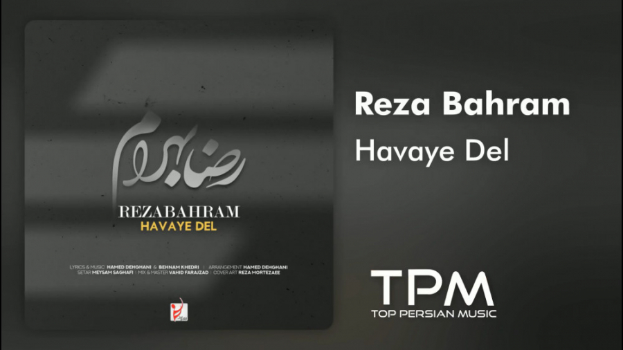 آهنگ جدید رضا بهرام  هوای دل