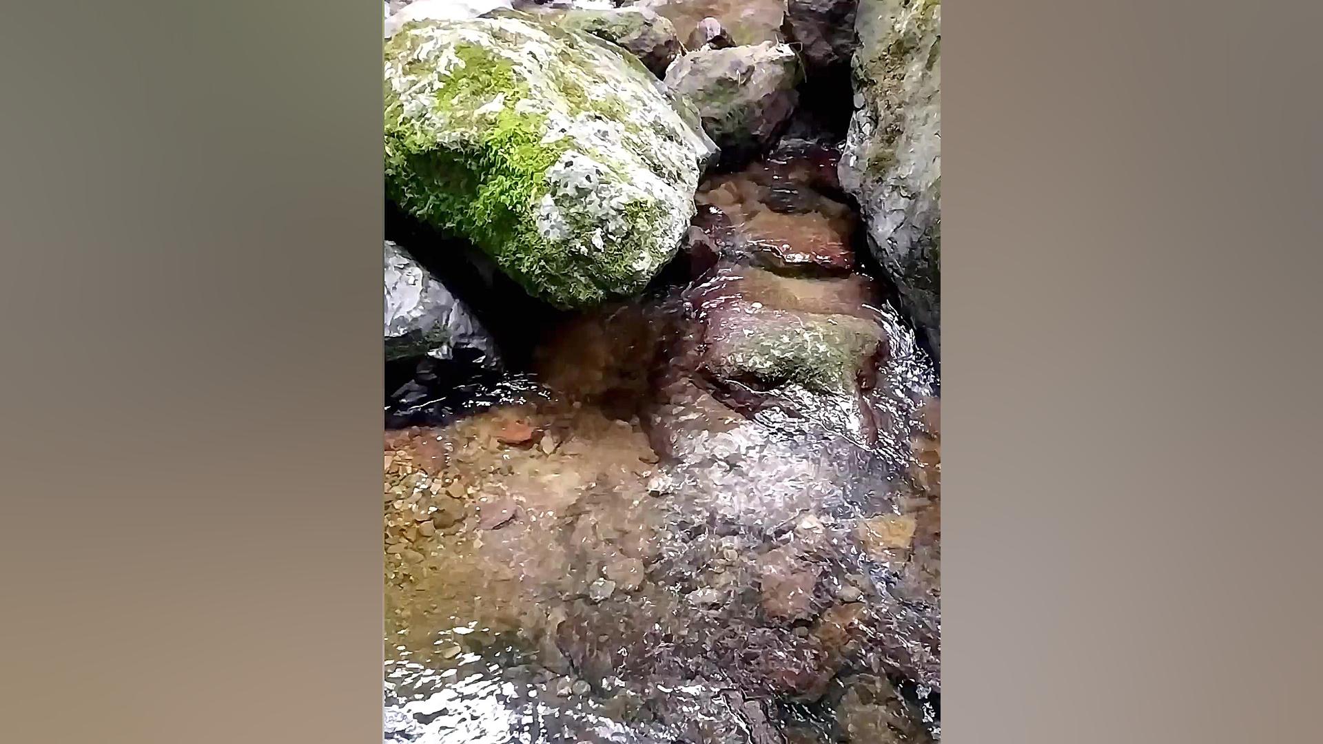 صبح بخیر انگیزشی ،کلیپ زیر نوی...