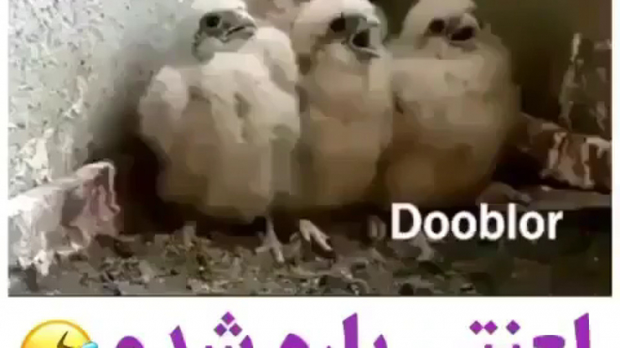 برترین صداگذاری تاریخ