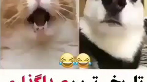 باحال ترین صداگذاری خنده دار