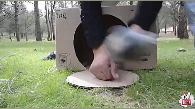 تله پرنده قوی