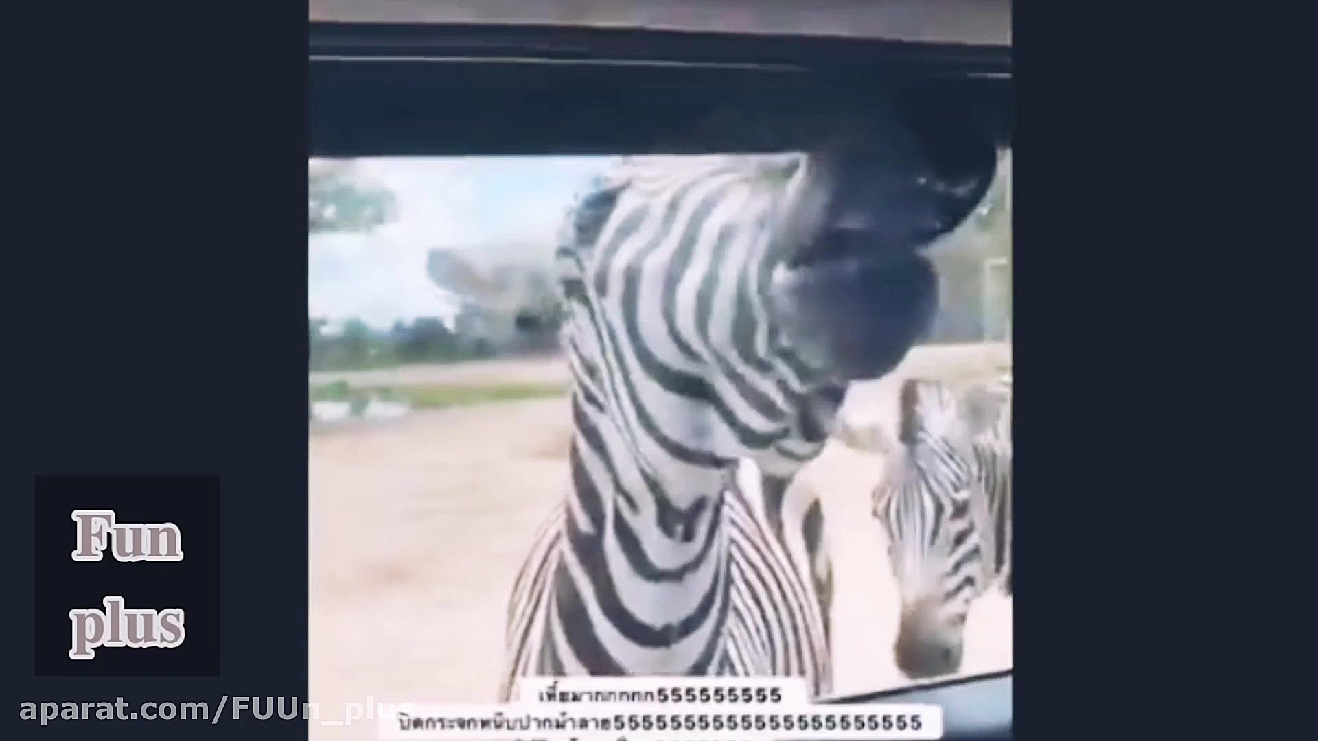 قلقلک هورمون اندورفین با تماشا...