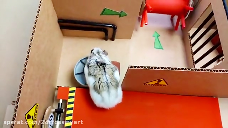 فرار از زندان