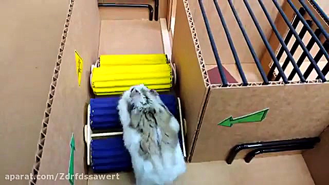 فرار از زندان