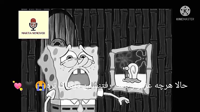 کلیپ غمگین تنها و بی کس