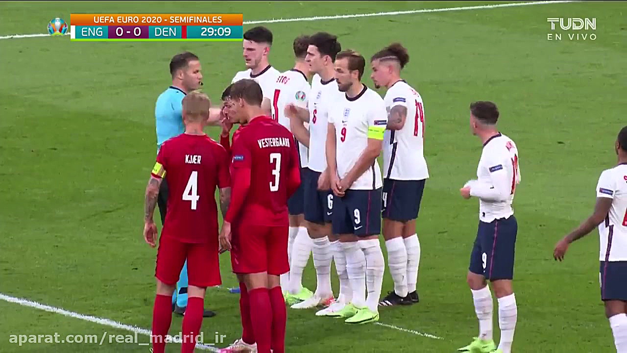 گل کاشته استثنایی دمسگارد به ا...