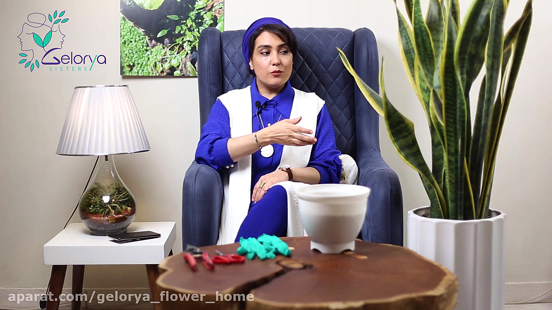 آموزش نگهداری از گیاه محبوب سا...