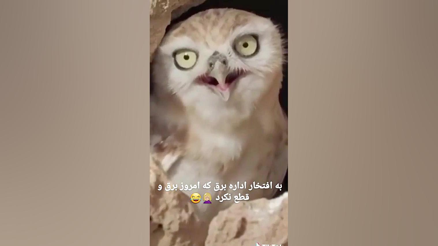 برق