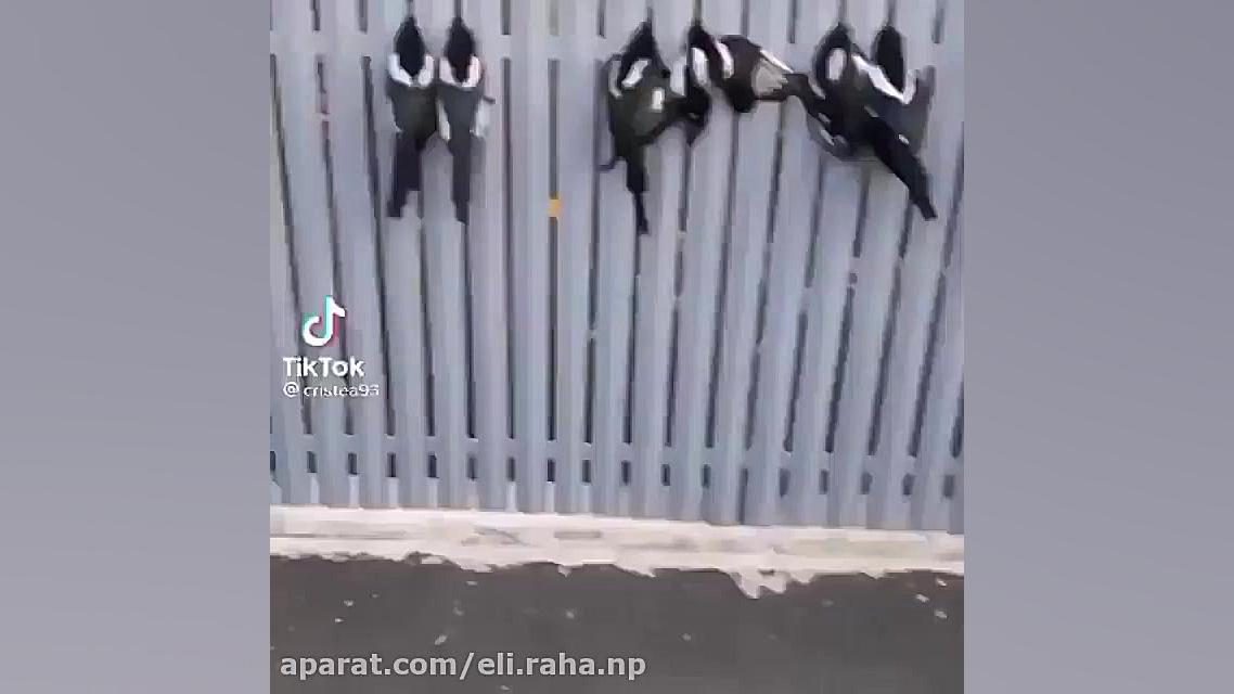 واییی ببینین چجور پرنده ها گیر...