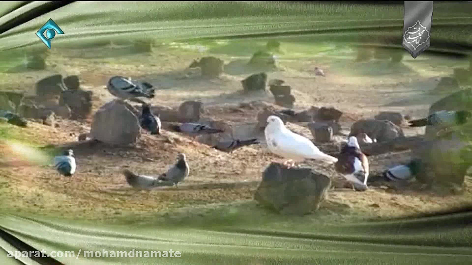 کلیپ مداحی تواشیح شهادت امام م...