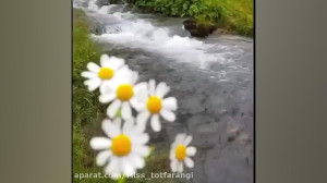 کلیپ احساسی و عاشقانه برای خدا...