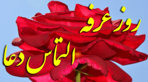 کلیپ روز عرفه  کلیپ عرفه مناجا...
