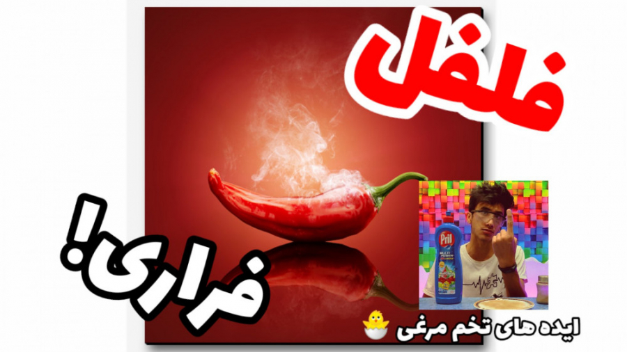 ایده های تخم مرغی