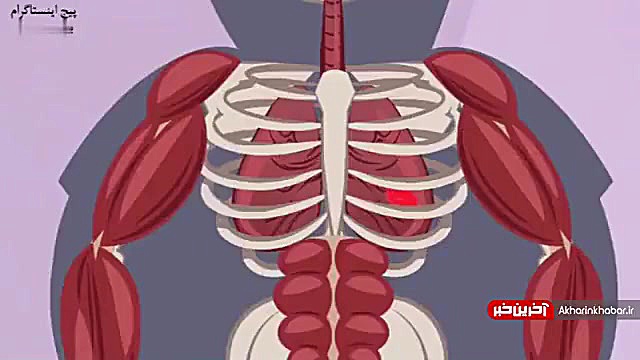 اشعه ایکس x rays