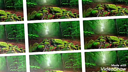 سرود عید غدیر. اشهد ان علی ولی...