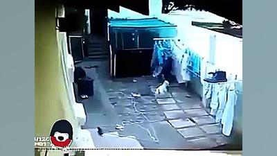 وحشتناک و فجیع! کم شانس ترین و...