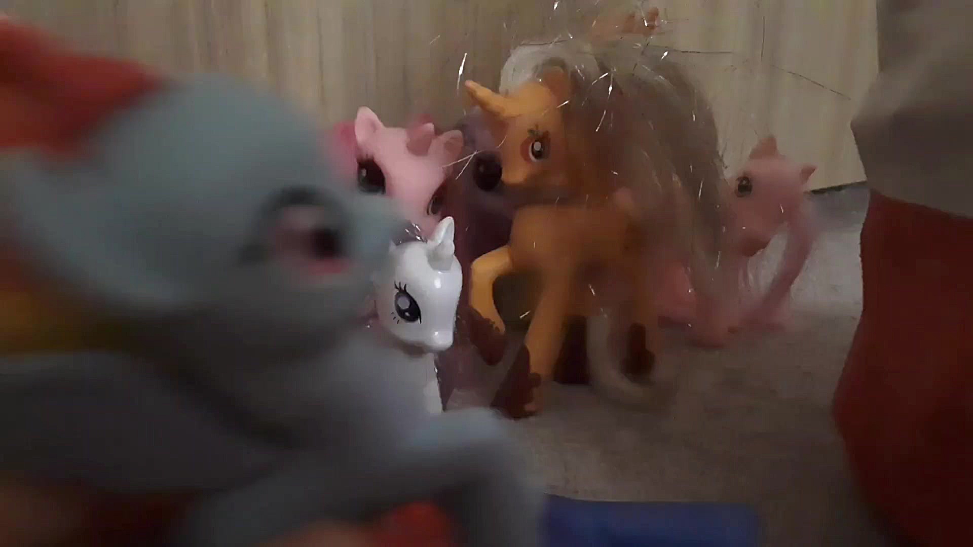 رینبوفکتوری قسمت ۱۶