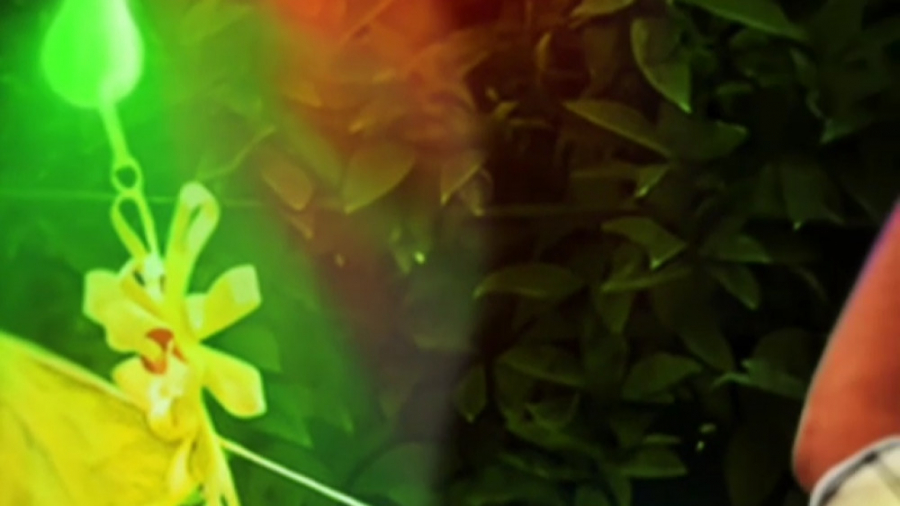 3 روز تا بزرگترین عید خدا