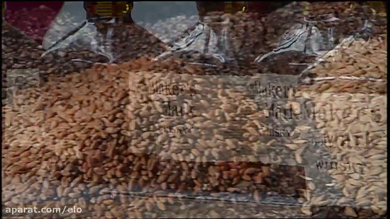 Peterson Family Soybean Farm H...