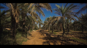 نماهنگ | همدرد خوزستان