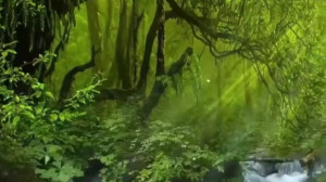 کلیپ زیبای طبیعت.و آرامش بخش...